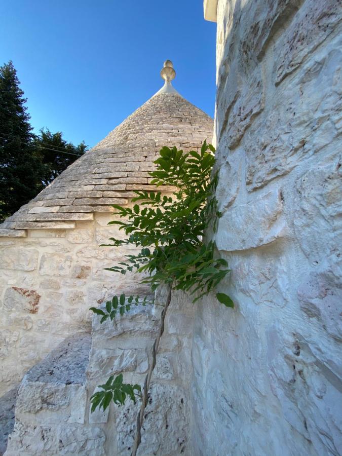לינה וארוחת בוקר פאסאנו I Trulli Del Tupparello מראה חיצוני תמונה